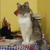 Отзыв от Карина Карпова